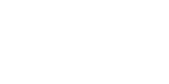 Accelerex brand logo